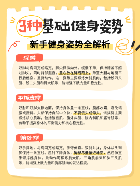 简约扁平风健身姿势知识分享小红书配图预览效果