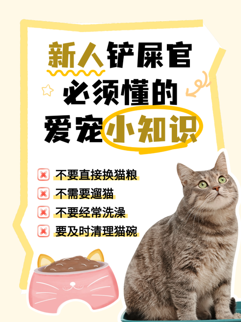 卡通插画风新人养宠物知识分享小红书封面预览效果