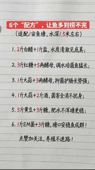 保持原图横格笔记本手写背景，参照原图字体和颜色，替换全部内容为以下文字，排版布局和原图一致，一字不差，并将内容中的所有数字标红：大标题红色底白字："6个“配方”，让鱼多到捞不完"，副标题小字："（适配预览效果