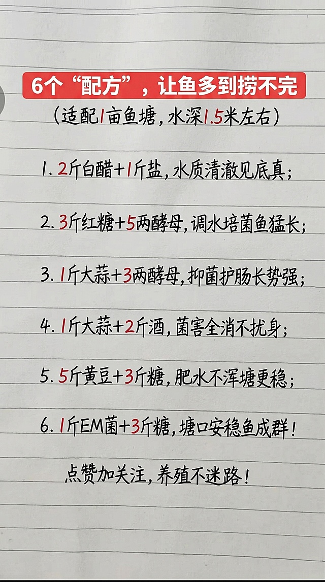 保持原图横格笔记本手写背景，参照原图字体和颜色，替换全部内容为以下文字，排版布局和原图一致，一字不差，并将内容中的所有数字标红：大标题红色底白字："6个“配方”，让鱼多到捞不完"，副标题小字："（适配1亩鱼塘，水深1.5米左右）"，然后依次是：
1. <font color="red">2</font>斤白醋+<font color="red">1</font>斤盐，水质清澈见底真；
2. <font color="red">3</font>斤红糖+<font color="red">5</font>两酵母，调水培菌鱼猛长；
3. <font color="red">1</font>斤大蒜+<font color="red">3</font>两酵母，抑菌护肠长势强；
4. <font color="red">1</font>斤大蒜+<font color="red">2</font>斤酒，菌害全消不扰身；
5. <font color="red">5</font>斤黄豆+<font color="red">3</font>斤糖，肥水不浑塘更稳；
6. <font color="red">1</font>斤EM菌+<font color="red">3</font>斤糖，塘口安稳鱼成群！
最后一行："点赞加关注，养殖不迷路！"，黑色手写字体，重点数字全部标红，排版和原图一致