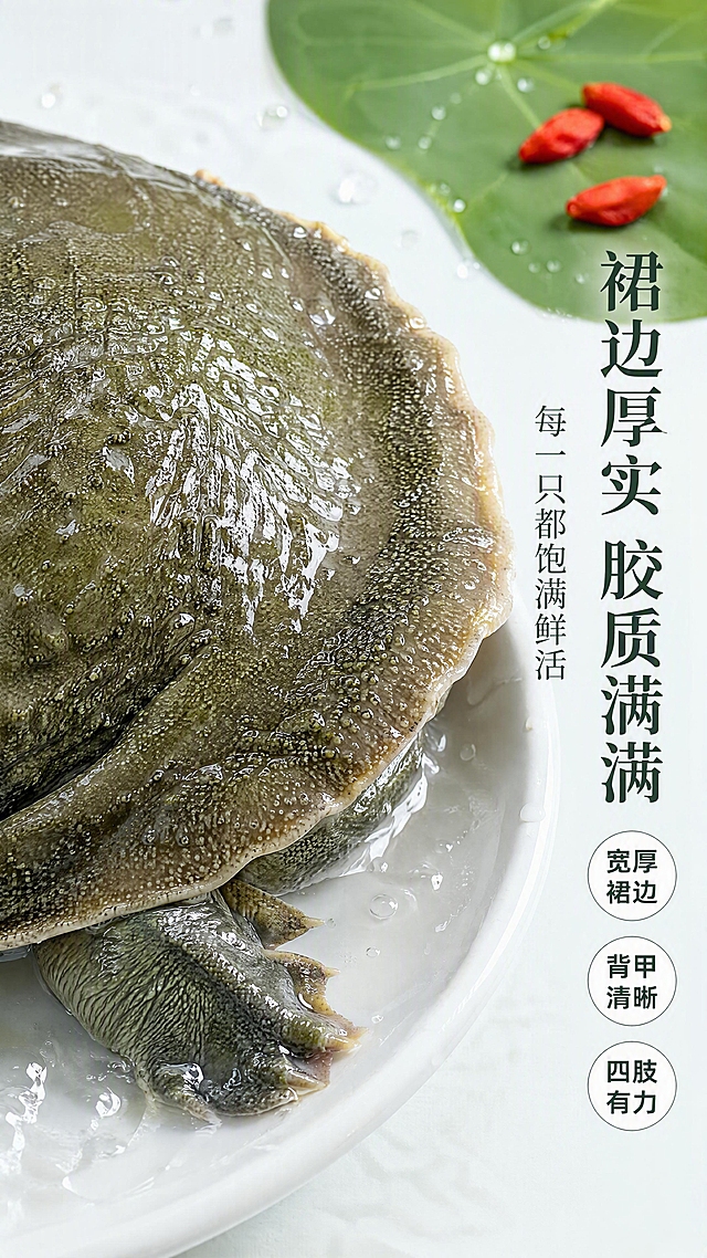 [第3张] 详情页品质特写-甲鱼裙边与鲜活质感微距展示。本张使用【图1】作为商品主体，重点展示局部细节。
[氛围/风格] 写实生鲜微距摄影，商业级精修质感，突出鲜活、饱满、胶质丰富的视觉感受。
[元素布局] 画面主体为甲鱼的裙边与背甲边缘特写，占比约70%，视角为45°侧俯视；重点展示裙边的厚度、弹性与胶质光泽，背甲颗粒纹理清晰可见；甲鱼下方为湿润的白色瓷盘边缘，盘底有少量清水与水珠飞溅；画面右上角点缀一片新鲜荷叶与枸杞作为装饰；甲鱼裙边厚度、背甲纹理、青绿色泽与输入产品图一致，不得变形。
[光影质感] 左侧柔光箱打光，裙边边缘有通透高光，背甲颗粒纹理有明暗层次，水珠晶莹剔透，整体质感水润鲜活。
[配色色系] 全局底色 #F5FAF8 极浅青绿；主色墨绿、青绿；辅助色白色、浅灰；点缀色朱红（枸杞）。
[视角构图] 微距特写，主体居中偏左，右侧留白放文字，阅读动线右标题 → 左主体。
[文字版式] 右侧竖排文字区。主标题「裙边厚实 胶质满满」，副标题「每一只都饱满鲜活」；下方三个品质标签：「宽厚裙边」「背甲清晰」「四肢有力」，配圆形白底深绿字标签；标题字体宋体，标签字体黑体；文字不遮挡裙边主体。
[比例分辨率] 9:16 竖版比例，4K 分辨率，文字清晰可辨，高清画质。
[负向提示词] 甲鱼变形，裙边变薄，纹理错乱，颜色偏差，水印，文字过小，背景杂乱，有异味联想，不新鲜。