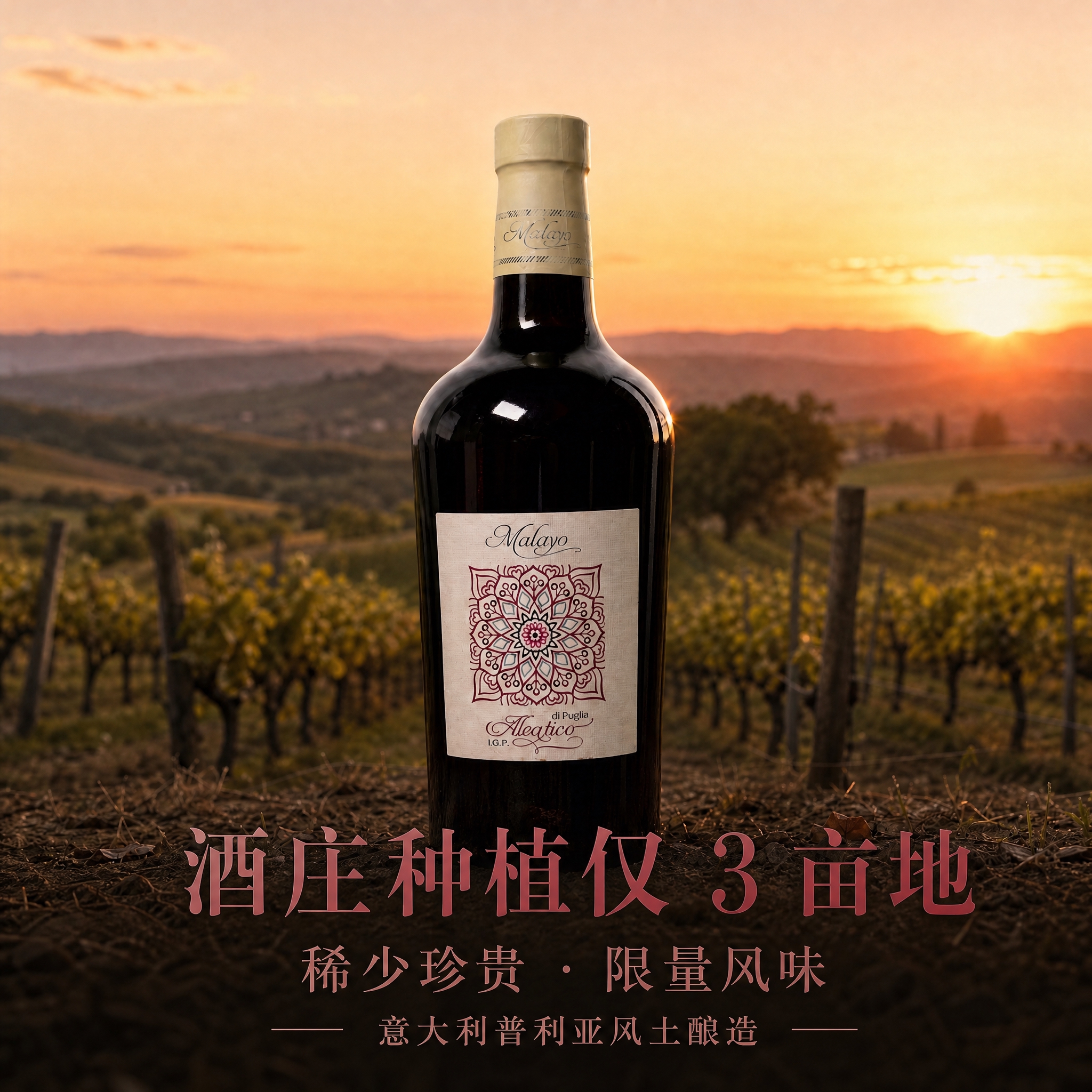 将图片顶部的三行文字「酒庄种植仅 3 亩地」「稀少珍贵 · 限… - 图片创意预览