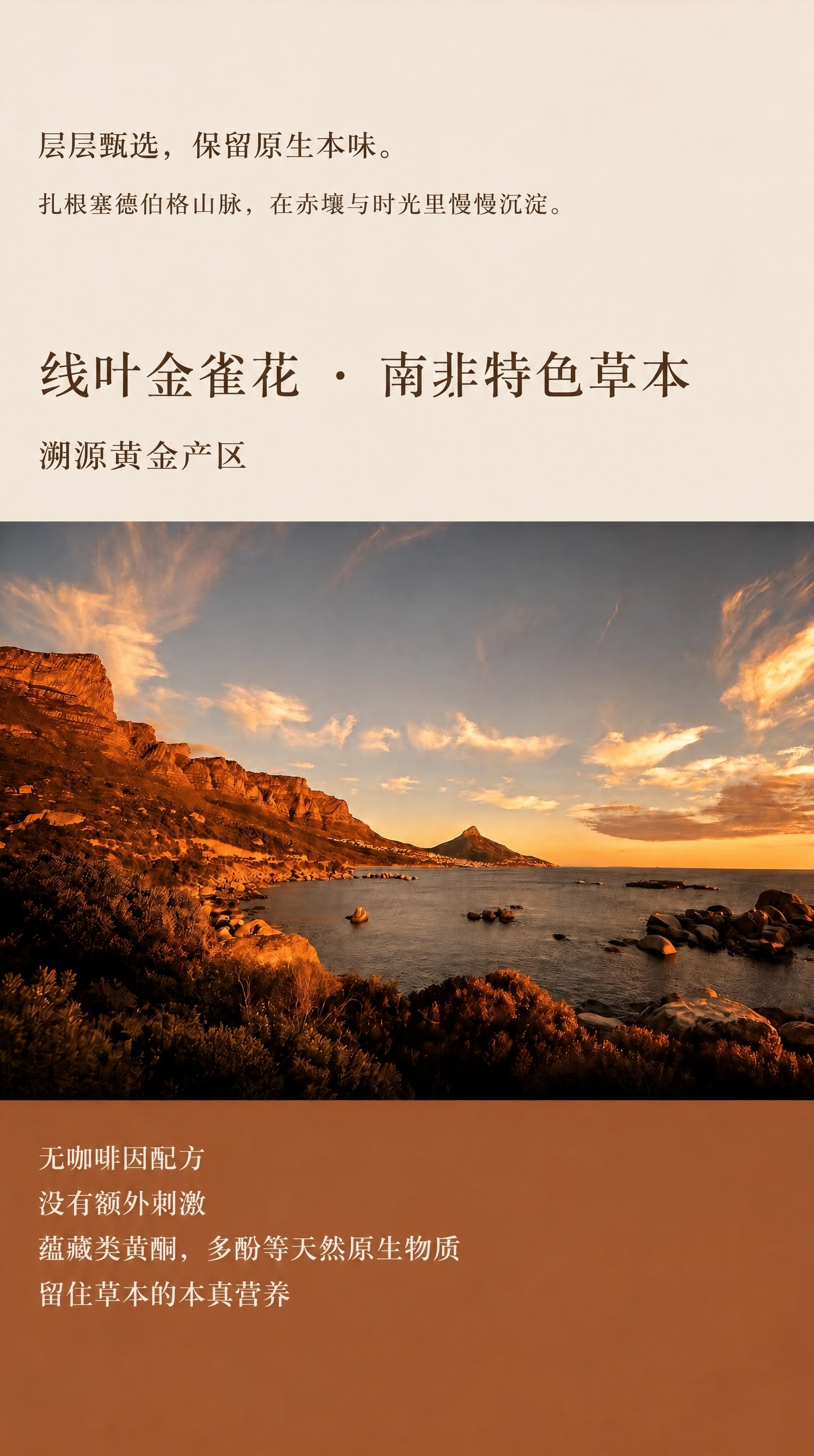 稿定 AI 图片作品 - 图片创意预览