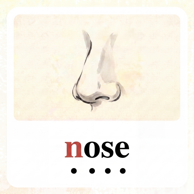 基于 image1（https://dify-grsai.dancf.com/images/3259028c456e40228433a67a7711d6b3.png）模板，生成 'nose' 单词卡：预览效果