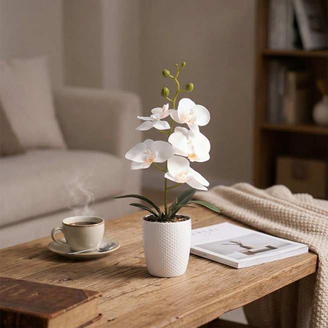 STRICTLY keep original plant shape and EXACT colors, no redesign, no color shift, no structure chang预览效果