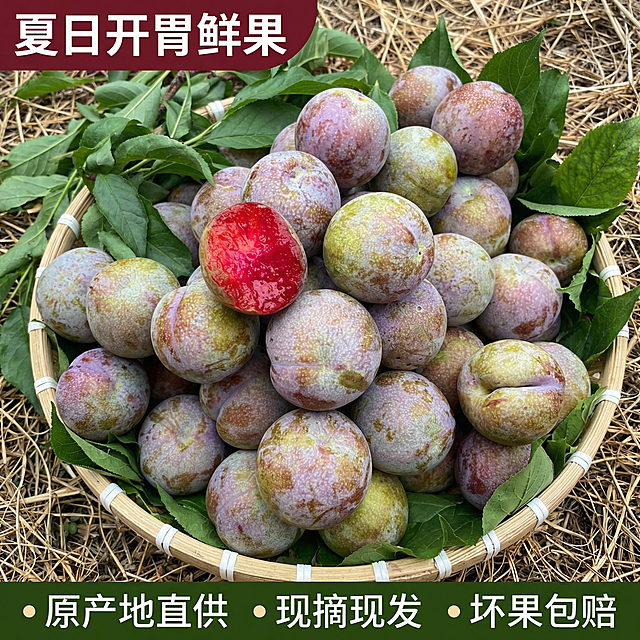 重新生成