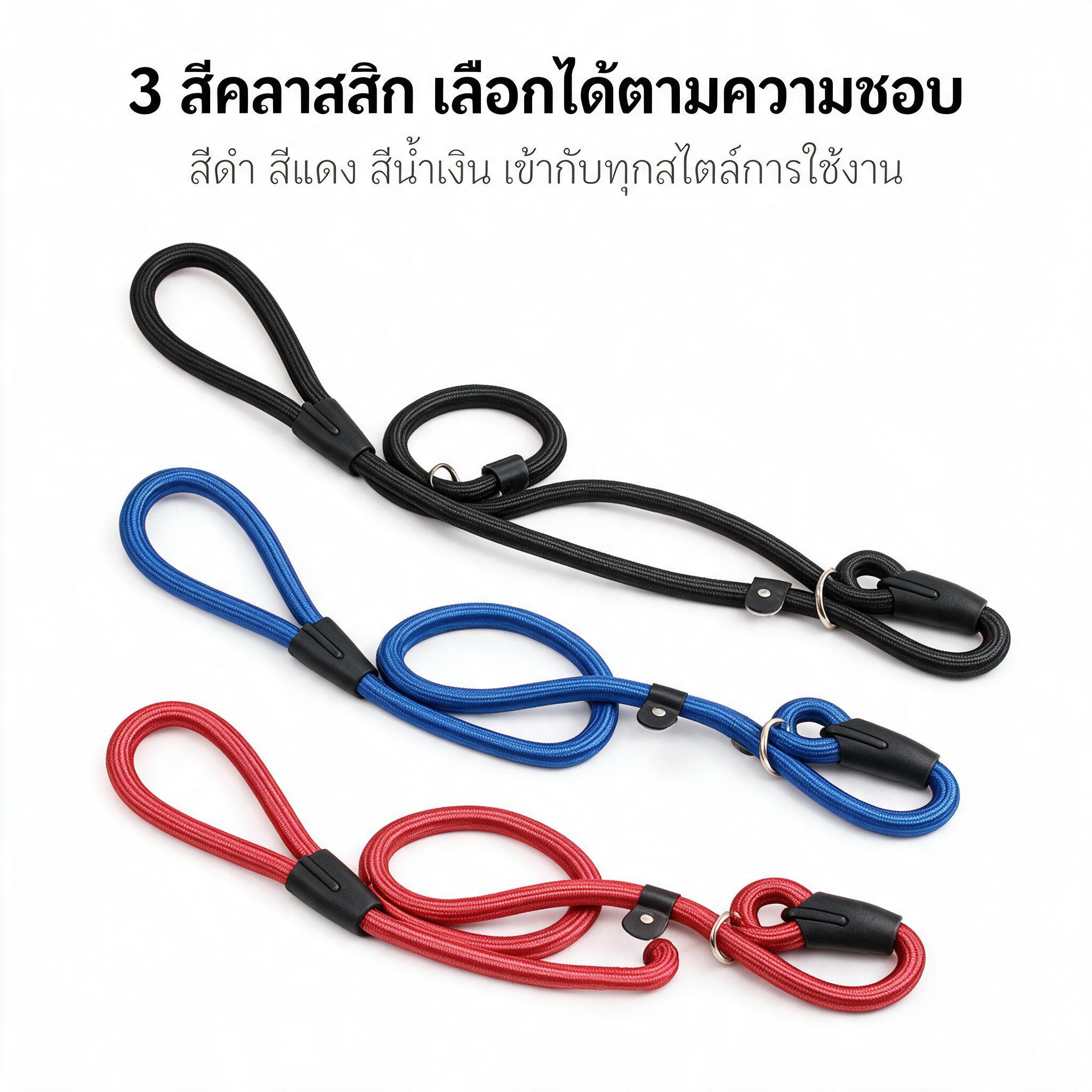 严格还原上传的宠物P链牵引绳产品图，黑色、红色、蓝色三款配色完… - 图片创意预览