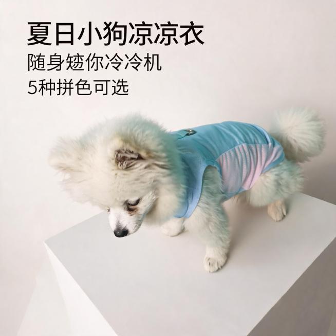 原图中的小狗保留，将背景换成干净的模特展示台背景，添加艺术文字：夏日小狗凉凉衣 随身迷你制冷机 5种拼色可选预览效果