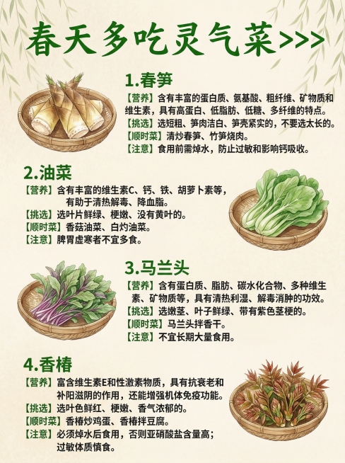 一张清新治愈的中式水彩风格春日应季蔬菜科普海报，背景米黄色带有淡柳叶纹理，主标题是纯绿色手写艺术字“春天多吃灵气菜>>>”，画面按序号依次展示4种春日蔬菜，每种蔬菜搭配左侧或右侧的浅棕色编织竹篮水彩插预览效果