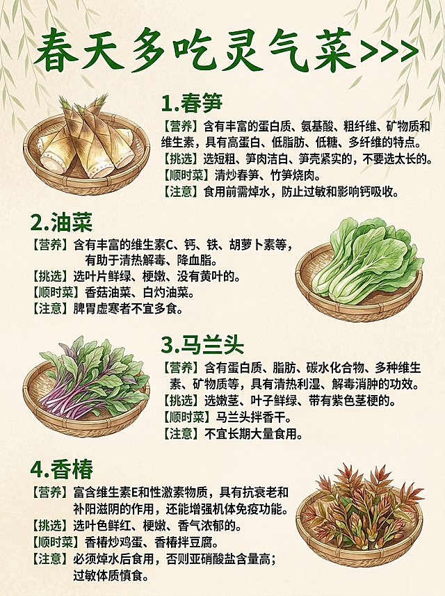 一张清新治愈的中式水彩风格春日应季蔬菜科普海报，背景米黄色带有淡柳叶纹理，主标题是纯绿色手写艺术字“春天多吃灵气菜>>>”，画面按序号依次展示4种春日蔬菜，每种蔬菜搭配左侧或右侧的浅棕色编织竹篮水彩插画，蔬菜插画细腻通透、色彩自然。文字区含有【营养/挑选/顺时菜/注意】四栏，排版为绿色粗体序号加黑色正文：1. 春笋：竹篮中带壳春笋，2. 油菜：竹篮中鲜嫩油菜，文字排版与春笋对称，3. 马兰头：竹篮中带紫梗的马兰头，文字排版与前两者交替，4. 香椿：竹篮中红褐芽叶的香椿，文字排版与马兰头对称。整体色调柔和温暖，排版工整有序，充满田园生机与养生氛围感，适合作为健康饮食科普内容。
