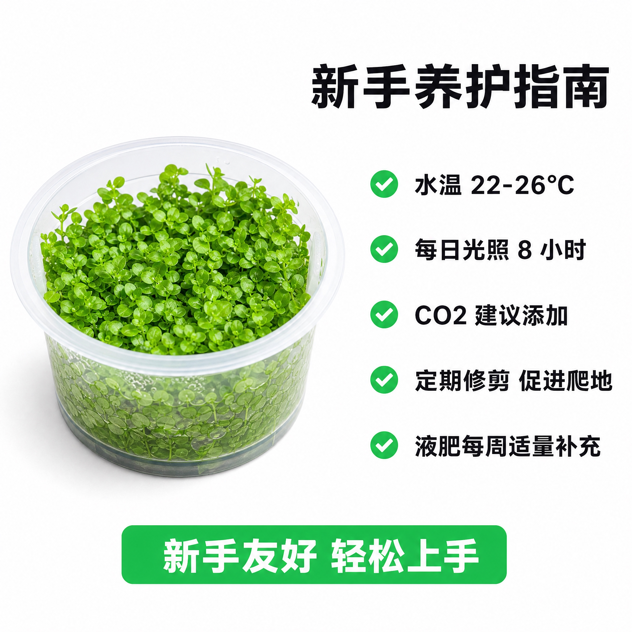 [主图-10] 养护小贴士总结，新手入门指南信息图。 [统一基… - 图片创意预览