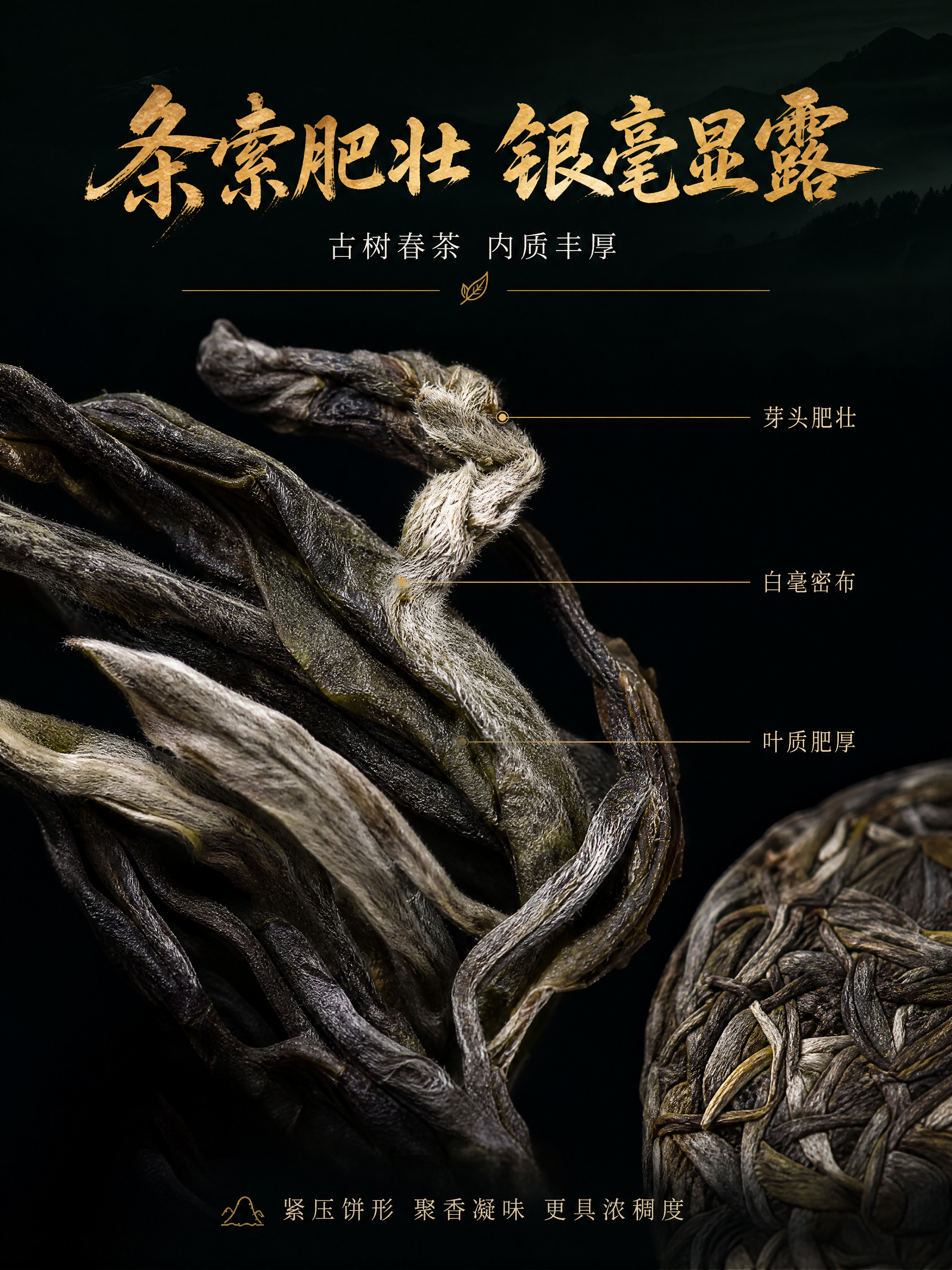 [商品] 使用【图3】和【图5】普洱生茶干茶条索与茶饼局部细节… - 图片创意预览