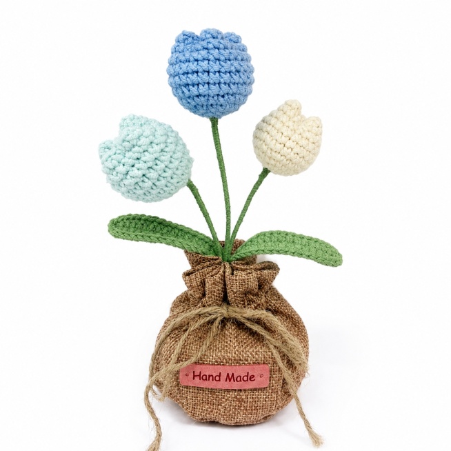 [主图-1] Pure white background display of handmade crochet tulip decoration. Keep the product appearan预览效果