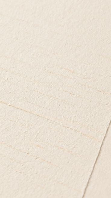 一张具有自然纹理质感的米白色纸张背景，纸张表面呈现出细腻且均匀分布的细微颗粒感，整体色调柔和统一，呈现出温暖的米白色调，纸张纹理自然且真实，具有轻微的粗糙触感，整体画面简洁干净，无任何多余元素，仅展示纸张本身的自然纹路和质感，不同纹路的纸纹理，包括细密的横向纹路、纵向纹路以及不规则的自然纤维纹理，这些纹路相互交织，形成丰富而有层次的视觉效果，光线均匀地洒在纸张表面，没有明显的光影对比，营造出一……预览效果