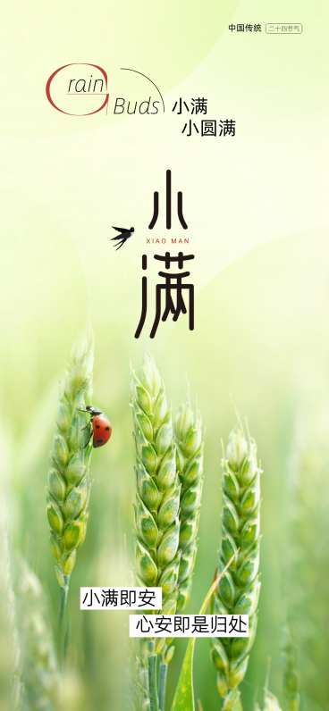 小满节气祝福问候简约清新竖版海报预览效果