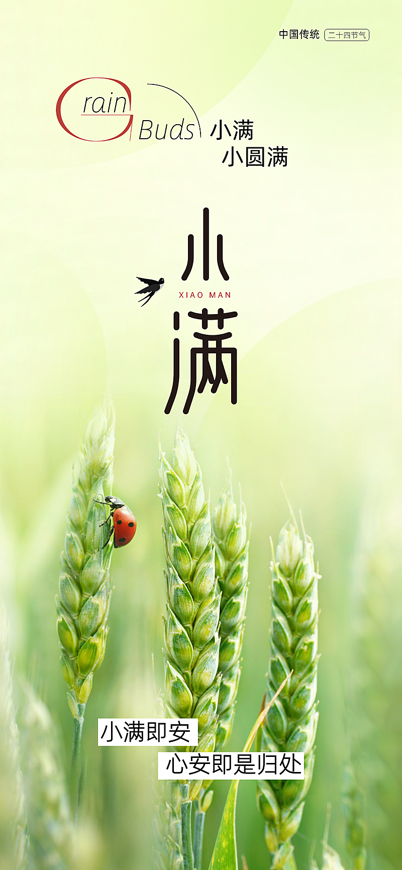 小满节气祝福问候简约清新竖版海报