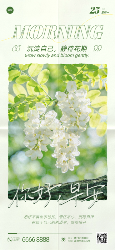 早安日签问候夏日清新绿色系文艺简约风朋友圈全屏竖版海报预览效果