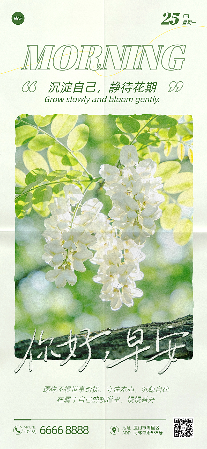 早安日签问候夏日清新绿色系文艺简约风朋友圈全屏竖版海报