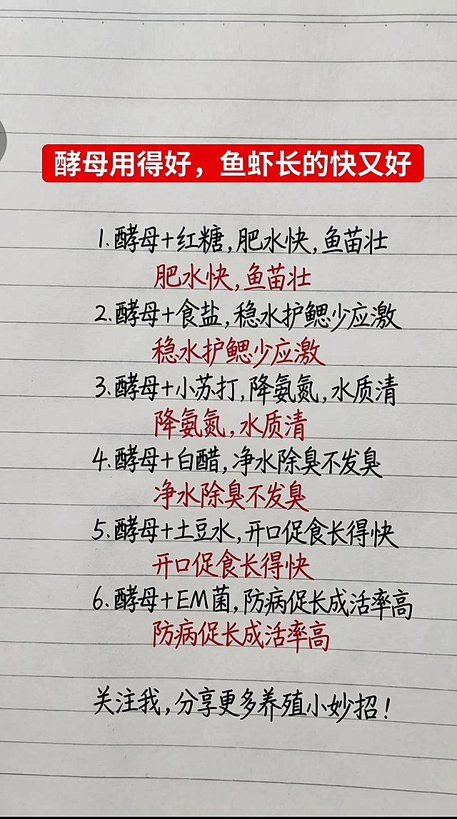 参照原图片的手写字体风格和颜色，将全部内容替换为以下文字，保持排版布局合理，一字不差：酵母用得好，鱼虾长的快又好 1.酵母 + 红糖，肥水快，鱼苗壮 2.酵母 + 食盐，稳水护鳃少应激 3.酵母 + 小苏打，降氨氮，水质清 4.酵母 + 白醋，净水除臭不发臭 5.酵母 + 土豆水，开口促食长得快 6.酵母 + EM 菌，防病促长成活率高 关注我，分享更多养殖小妙招！，标题为红色红底白字，列表内容黑色手写字体，补充说明红色手写字体，背景是横格笔记本纸张，保持整体风格和原图片一致