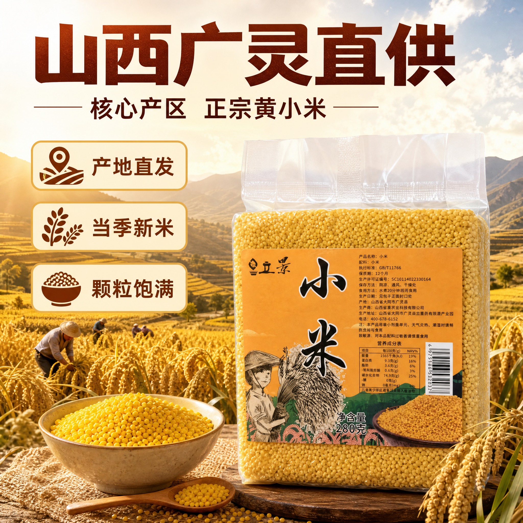 [主图-2] 产地溯源 山西广灵核心产区 正宗黄小米 品质保障… - 图片创意预览