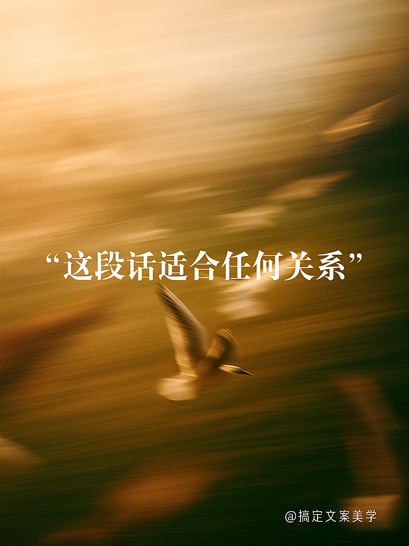 唯美文案小红书封面