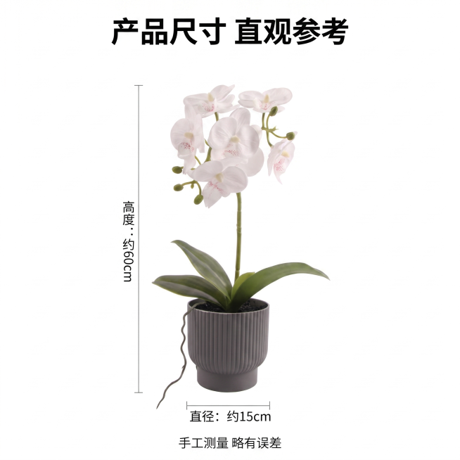 [主图 9] 产品尺寸标注展示。
[氛围风格] 清晰直观，简约干净；
[画质] 高清商业摄影，尺寸标注清晰，产品展示完整。
[元素] 仿真蝴蝶兰盆栽放置在纯白色背景中，完整展示整体外观，保持产品外观颜预览效果