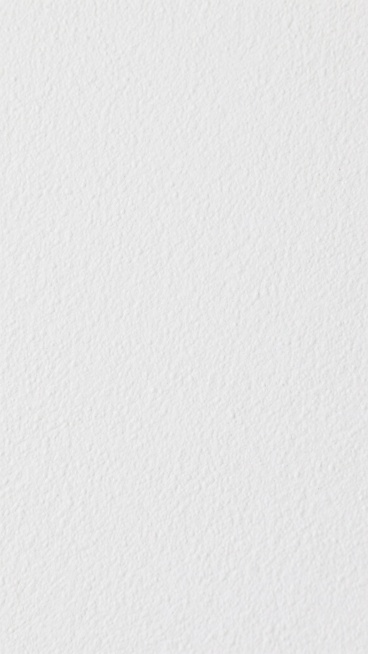一张纯白色背景的纹理图片，纹理清晰，表面呈现出细腻、均匀且略带粗糙感的颗粒状质感，整体风格简约、干净，具有柔和的哑光效果，没有任何图案或装饰元素，给人一种质朴、纯粹的视觉感受。预览效果