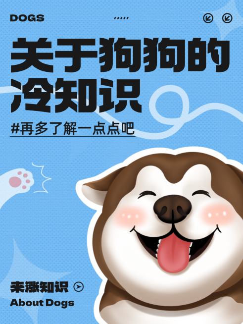 狗狗养宠攻略分享小红书封面预览效果