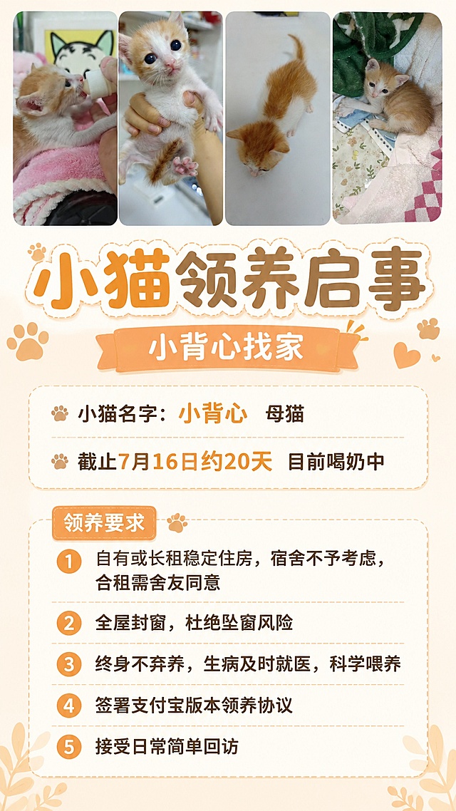 正式温馨风格小猫领养启事海报，整体风格温暖清新，9:16竖版适合手机转发
主标题"小猫领养启事"
小标题"小背心找家"
正文信息：
小猫名字：小背心，母猫
年龄：截止7月16日约20天，目前喝奶中

领养要求：
1. 自有或长租稳定住房，宿舍不予考虑，合租需舍友同意
2. 全屋封窗，杜绝坠窗风险
3. 终身不弃养，生病及时就医，科学喂养
4. 签署支付宝版本领养协议
5. 接受日常简单回访

画面顶部展示小猫原图，将用户提供的4张小猫图片拼接展示，保持原图内容不做AI修改
画面下方清晰排版所有领养文字信息，文字清晰可读，排版整齐
使用浅暖米色调背景，搭配浅橘色文字点缀，营造温馨治愈氛围
版式精美，信息分区明确，编号清晰
移除二维码占位，不添加任何二维码相关内容，保持画面干净
画面中必须完整呈现以下文字信息：小猫领养启事、小背心找家、小猫名字：小背心 母猫、截止7月16日约20天 目前喝奶中、领养要求、自有或长租稳定住房，宿舍不予考虑，合租需舍友同意、全屋封窗，杜绝坠窗风险、终身不弃养，生病及时就医，科学喂养、签署支付宝版本领养协议、接受日常简单回访
画面中所有数字必须精确渲染，不得错位、遗漏或编造