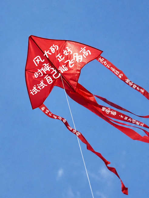 哲学语录手写拟真实景风筝小红书封面预览效果