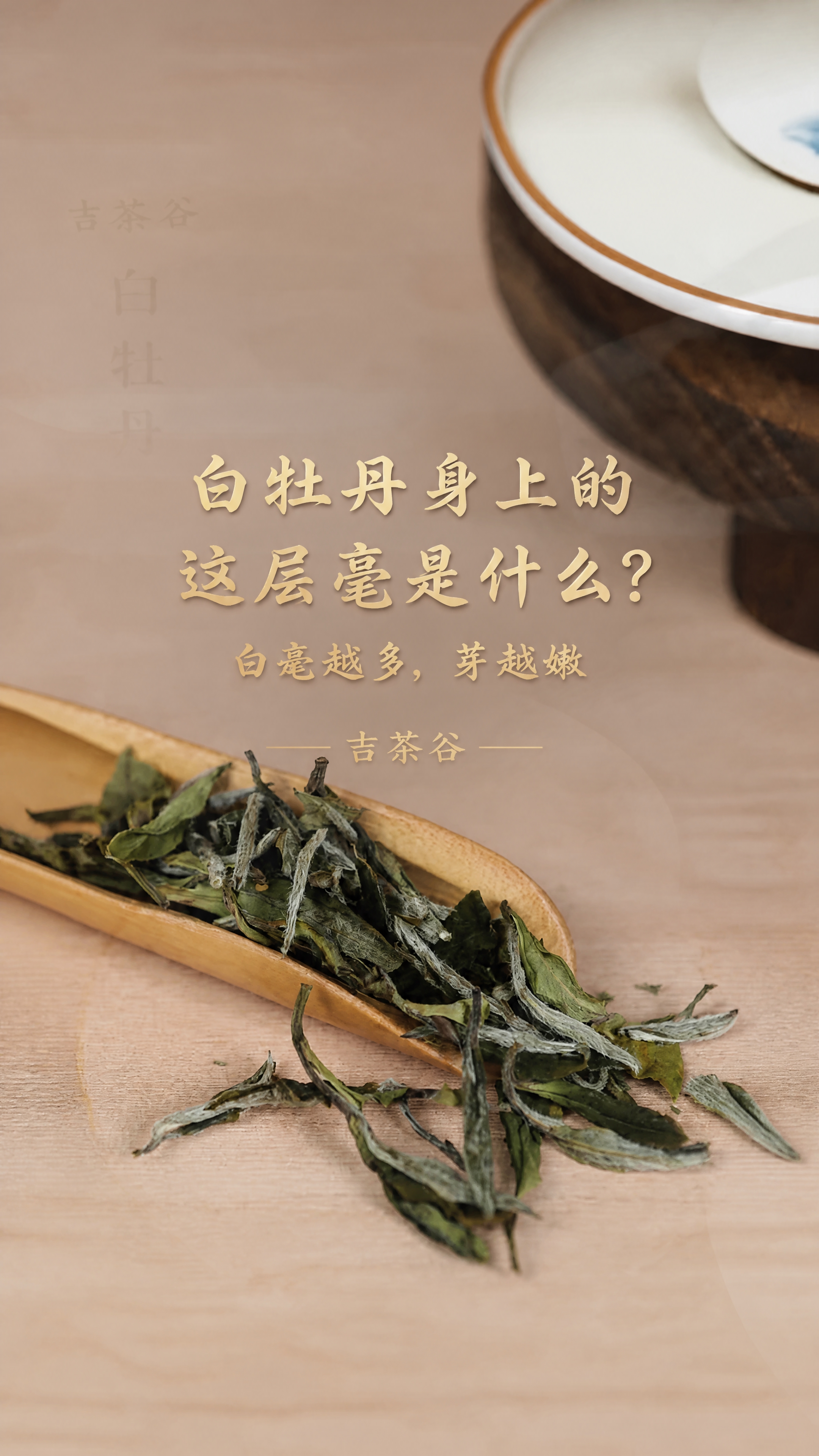 基于原图修改，背景完全原样不变，适配抖音短视频主页封面显示，所… - 图片创意预览