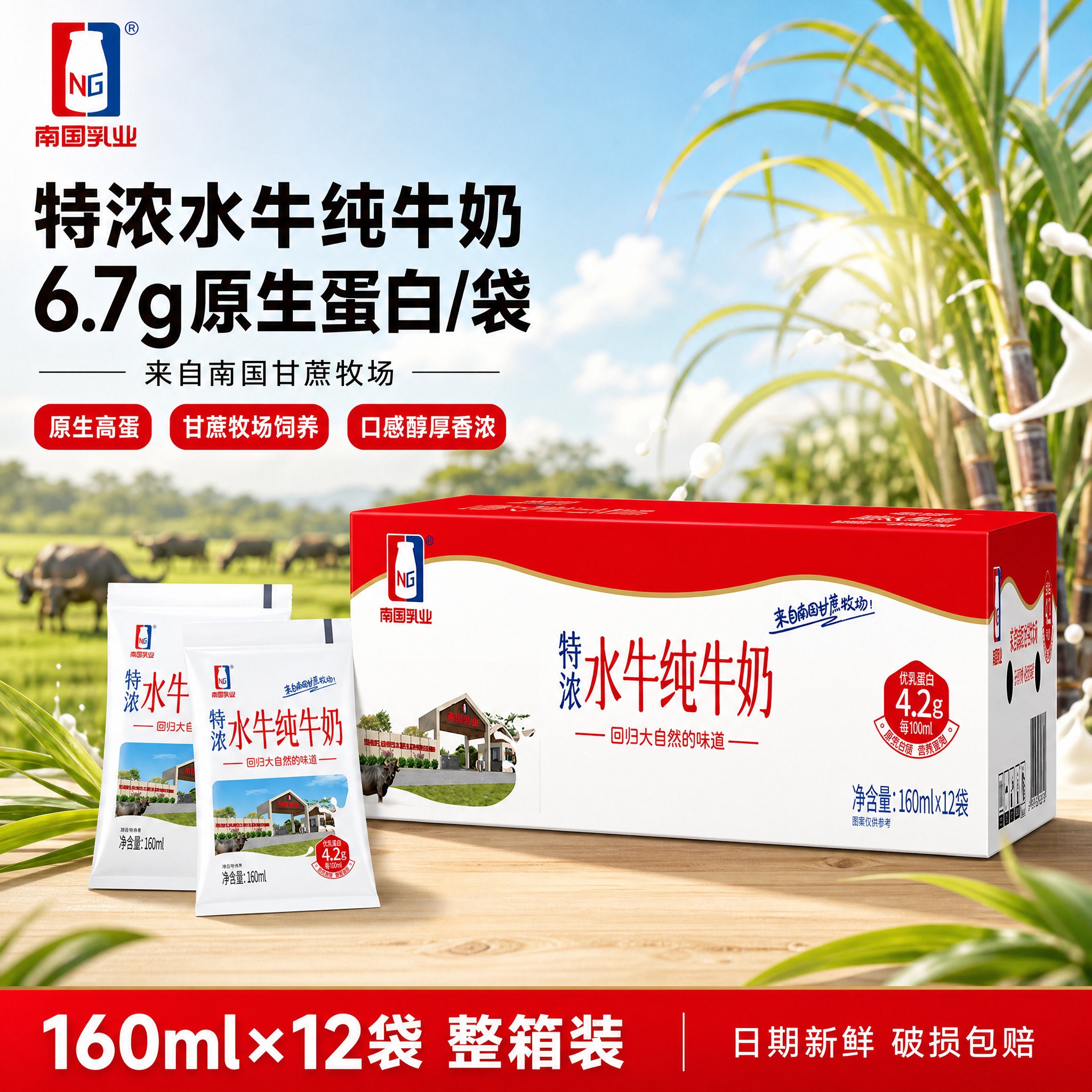 [单张主图] 南国乳业特浓水牛纯牛奶整箱装，爆款促销感主图路线… - 图片创意预览