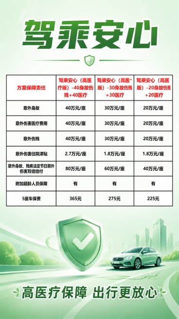 为这张驾乘安心保障方案表格制作宣传海报，顶部添加主标题“驾乘安心”，底部添加副标题“高医疗保障 出行更放心”，保留原图所有表格文字和内容不变，不做任何修改，整体使用正式商务风格，背景添加浅绿渐变，营造预览效果