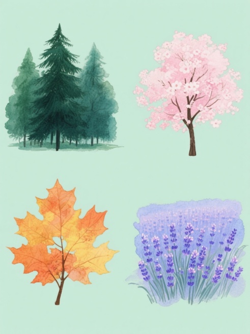 四张系列水彩风格植物插画规整排布，每张均为纯色背景，保持原图的透明晕染笔触、柔和边缘过渡、湿润质感和简约构图，第一张是深绿色系松树林，第二张是粉色系樱花树，第三张是橙黄色系枫叶树，第四张是蓝紫色系薰衣草花田，整体色彩协调统一又各具特色，画面干净简洁，无文字元素。预览效果