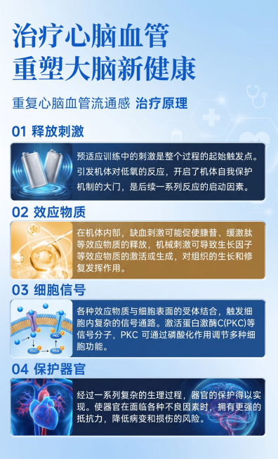 保留所有原始文字内容不修改，更改文字字体，重新调整整体排版布局，重新生成四个模块内的插画，更新插画构图和内容，保持医疗科普现代蓝色风格预览效果