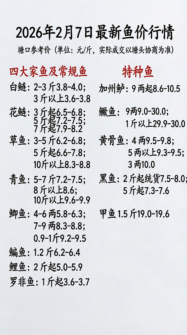 2026 年 2 月 7 日最新鱼价行情
塘口参考价（单位：元 / 斤，实际成交以塘头协商为准）
四大家鱼及常规鱼
白鲢：2-3 斤3.8-4.0；3 斤以上3.6-3.8。
花鲢：3 斤起6.5-6.8；5 斤起7.2-7.5；7 斤起7.9-8.2。
草鱼：3-5 斤6.2-6.8；5 斤起6.6-7.8；10 斤以上8.3-8.8。
青鱼：5-7 斤7.2-7.5；8 斤以上8.6；10 斤以上9.6-9.9。
鲫鱼：4-6 两5.8-6.3；7-9 两8.3-8.8；0.9-1 斤9.2-9.5；
鳊鱼：1.2 斤6.2-6.4。
鲤鱼：2 斤起5.0-5.9；
罗非鱼：1 斤起3.6-3.7。
特种鱼
加州鲈：9 两起8.6-10.5；
鳜鱼：9两9.0-30.0；1 斤以上29.9-30.0。
黄骨鱼：4 两9.5-9.8；5 两以上9.3-9.5；3 两10.0。
黑鱼：2 斤起统货7.5-8.0；5 斤起7.3-7.6。
甲鱼 1.5 斤19.0-19.6。
参考图片的字体字迹颜色，把上面的内容重新生成一张图片，排版合理，第一行，四大家鱼常规鱼，特种鱼，改成红色字体。四大家鱼常规鱼放在左边，特种鱼放在右边