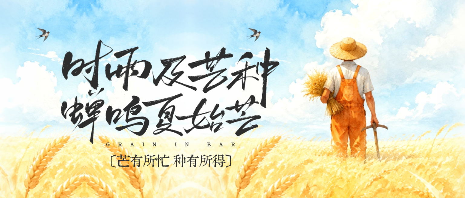 芒种节气祝福小清新通用微信公众号首图预览效果