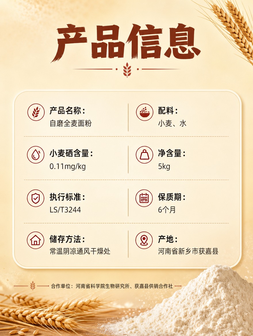 [画面] 目标：规格参数页，清晰展示产品信息与参数。版式：顶部… - 图片创意预览