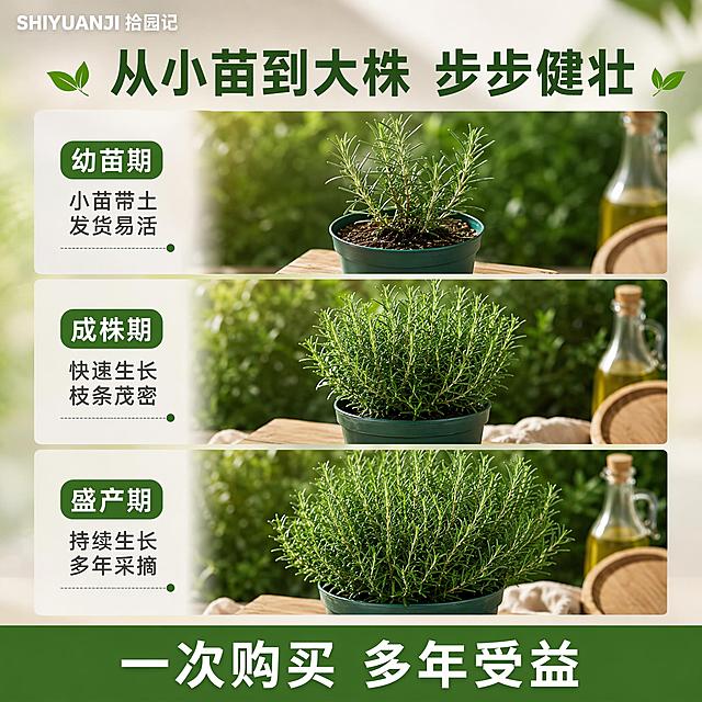 「图片1」「图片1」「图片1」「图片1」「图片1」「图片1」「图片1」「图片1」「图片1」「图片1」根据这几张，在生成5张