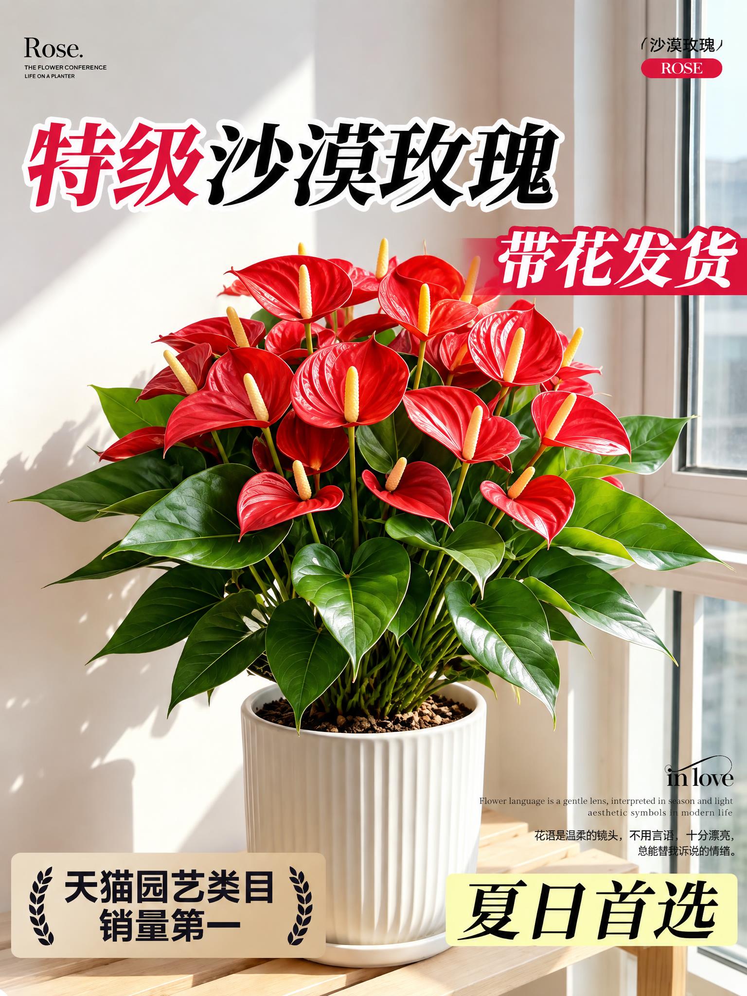 将图中的沙漠玫瑰花替换为红掌，红掌的形态参考第二张图，保持原图… - 图片创意预览