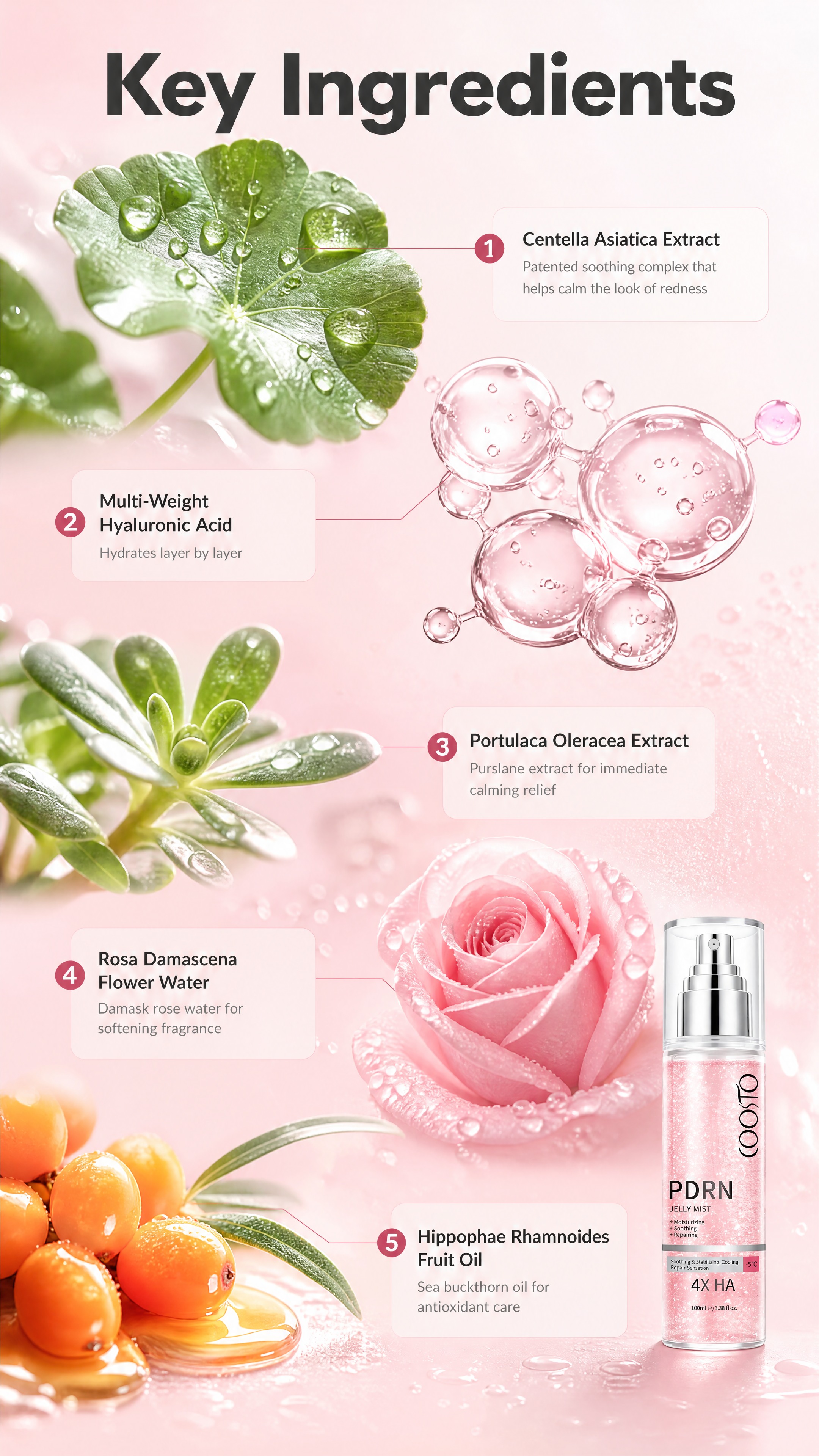 [商品] 使用【图1】COORO PDRN Jelly Mis… - 图片创意预览