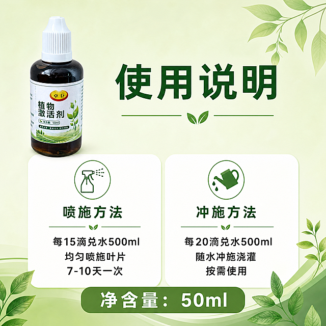 [主图-3] 植物激活液使用说明图，上标题下分栏版式。
[氛围风格] 清晰明了，实用易用
[画质] 商业摄影质感、光线柔和通透、产品清晰真实、画面干净高级。
[元素] 保持植物激活液产品外观与输入产品图绝对一致，杜绝任何变形和色差，精细化处理。左上位置放置产品小图，右侧和下半部分为使用说明区域，背景为浅绿渐变，点缀简约绿植线条装饰。商品主体清晰，文字区域排版整齐。
[光影] 均匀柔光，文字清晰可见，产品细节清楚，无明暗死角。
[配色] 浅绿背景，白色分区，深绿色标题，黑色说明文字，干净清爽。
[文字版式] 顶部主标题"使用说明"深绿色粗体居中；下方分两栏，左栏"喷施方法"：标题加粗，内容"每15滴兑水500ml\n均匀喷施叶片\n7-10天一次"；右栏"冲施方法"：标题加粗，内容"每20滴兑水500ml\n随水冲施浇灌\n按需使用"；底部标注"净含量：50ml"加粗突出。文字分区清晰，大小对比明显，可读性强。
[比例分辨率] 1:1 比例，4k 分辨率；文字清晰锐利，画面超高清。
[负向提示词] 变形，水印，文字错乱，产品图模糊，背景杂乱，文字排版拥挤