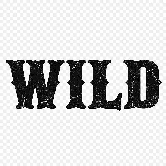 平面艺术字体设计，主体文字"WILD"，所有文字单行横向排列，美式复古机车风粗体衬线字体，厚重有力的粗笔画，西部牛仔硬汉风格，字体颜色为黑色，带有轻微做旧磨损和裂纹纹理，背景完全透明。仅包含这4个字母：W、I、L、D，不得增加或替换。文字整体必须完整呈现在画面内不可被裁切，四周留有安全边距。