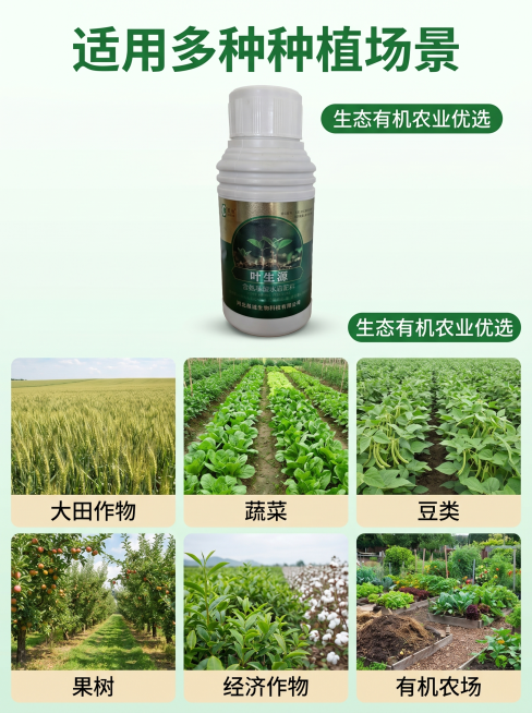 [主图 4] 适用作物场景展示。[氛围风格] 丰富实景风，直观清晰。[画质] 商业摄影质感、光线柔和通透、产品清晰真实、画面干净高级。[元素] 产品放置在画面上部中心位置，占比适中，保持产品外观与输入预览效果