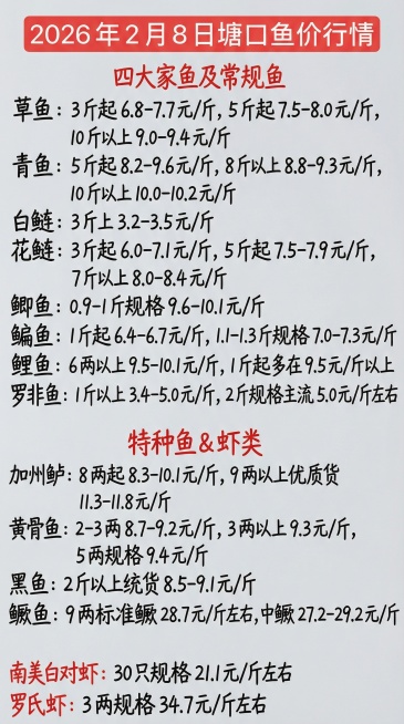 2026 年 2 月 8 日塘口鱼价行情
四大家鱼及常规鱼
草鱼：3 斤起 6.8-7.7 元 / 斤，5 斤起 7.5-8.0 元 / 斤，10 斤以上 9.0-9.4 元 / 斤
青鱼：5 斤起预览效果