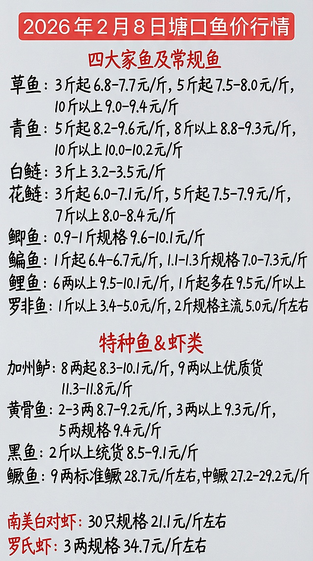2026 年 2 月 8 日塘口鱼价行情
四大家鱼及常规鱼
草鱼：3 斤起 6.8-7.7 元 / 斤，5 斤起 7.5-8.0 元 / 斤，10 斤以上 9.0-9.4 元 / 斤
青鱼：5 斤起 8.2-9.6 元 / 斤，8 斤以上 8.8-9.3 元 / 斤，10 斤以上 10.0-10.2 元 / 斤
白鲢：3 斤上 3.2-3.5 元 / 斤
花鲢：3 斤起 6.0-7.1 元 / 斤，5 斤起 7.5-7.9 元 / 斤，7 斤以上 8.0-8.4 元 / 斤
鲫鱼：0.9-1 斤规格 9.6-10.1 元 / 斤
鳊鱼：1 斤起 6.4-6.7 元 / 斤，1.1-1.3 斤规格 7.0-7.3 元 / 斤
鲤鱼：6 两以上 9.5-10.1 元 / 斤，1 斤起多在 9.5 元 / 斤以上
罗非鱼：1 斤以上 3.4-5.0 元 / 斤，2 斤规格主流 5.0 元 / 斤左右
特种鱼 & 虾类
加州鲈：8 两起 8.3-10.1 元 / 斤，9 两以上优质货 11.3-11.8 元 / 斤
黄骨鱼：2-3 两 8.7-9.2 元 / 斤，3 两以上 9.3 元 / 斤，5 两规格 9.4 元 / 斤
黑鱼：2 斤以上统货 8.5-9.1 元 / 斤
鳜鱼：9 两标准鳜 28.7 元 / 斤左右，中鳜 27.2-29.2 元 / 斤
南美白对虾：30 只规格 21.1 元 / 斤左右
罗氏虾：3 两规格 34.7 元 / 斤左右
参照图片字体和颜色，用上面内容替换生成新的内容，要求排版布局合理，一字不差。
