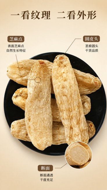 [第3屏] 结构解析，标注天麻核心部位特征。本屏使用【图1】作为展示主体。
[氛围/风格] 专业解析风，浅棕底清晰标注，突出天麻结构特点，真实可信。
[元素布局] 天麻整体占画面中心约70%，使用细引预览效果