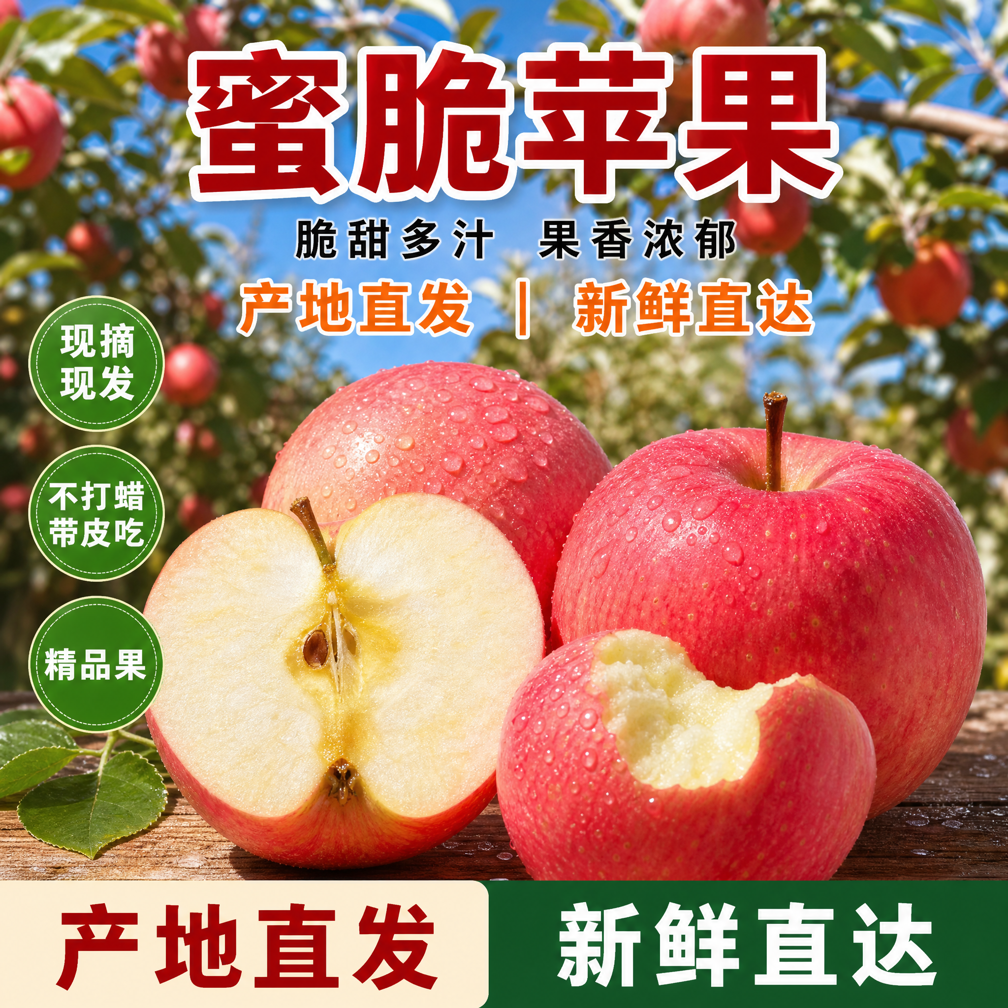 [主图-1] 蜜脆苹果电商主图，800×800方图。 [统一基… - 图片创意预览