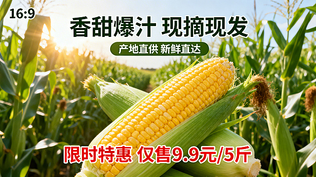 清新自然实景拍摄，阳光光影烘托玉米鲜嫩质感，大字风标题搭配印刷感促销信息，突出产地直供与限时特惠，强化新鲜直达的节日消费氛围。