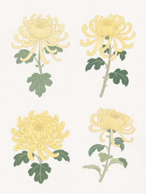 六个不同样式和材质的菊花，采用清新淡雅的日式插画风格，线条细腻流畅，色彩明亮柔和，黄色花瓣层次丰富，搭配翠绿叶片，整体画面简洁干净，白色背景衬托下排列整齐，营造出宁静自然的氛围预览效果